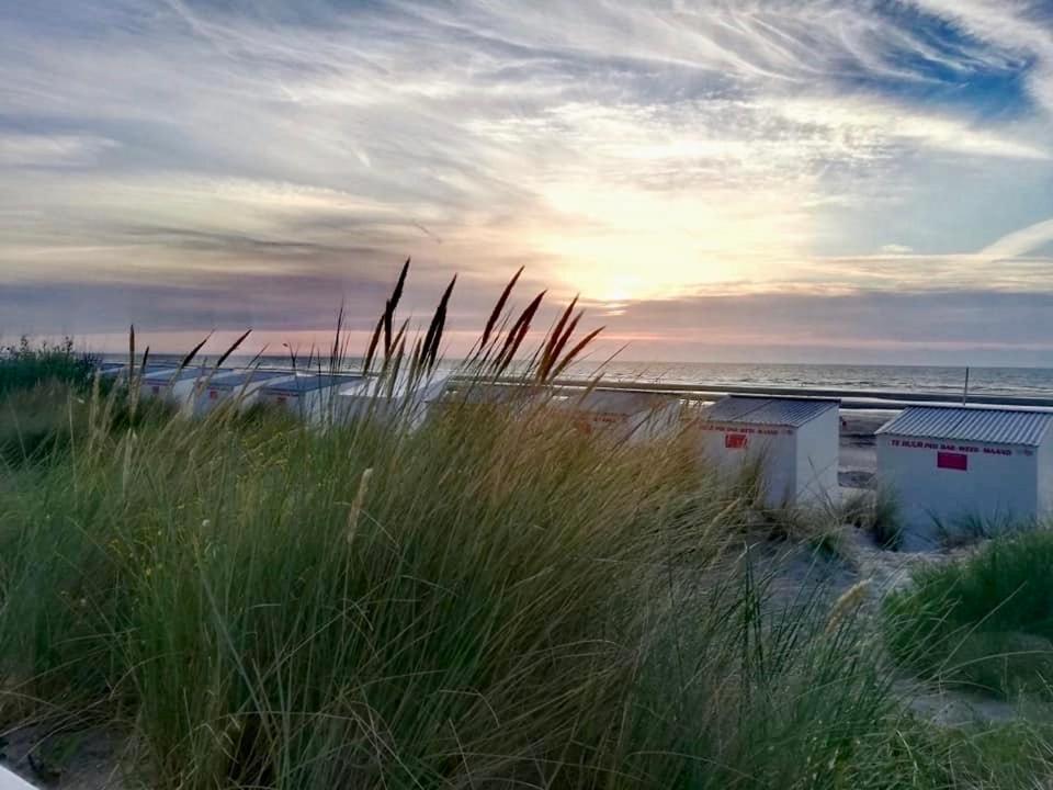 Seayousoon Nieuwpoort-Bad Extérieur photo